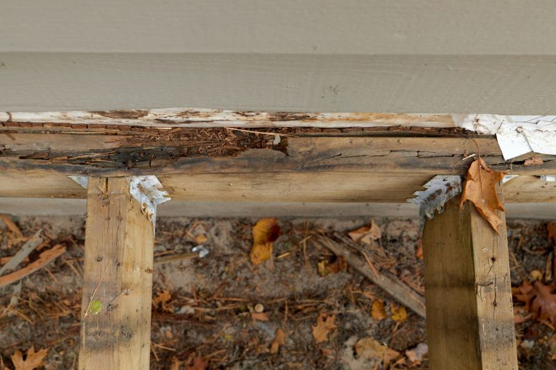 Wood Rot Removal in Olathe, KS