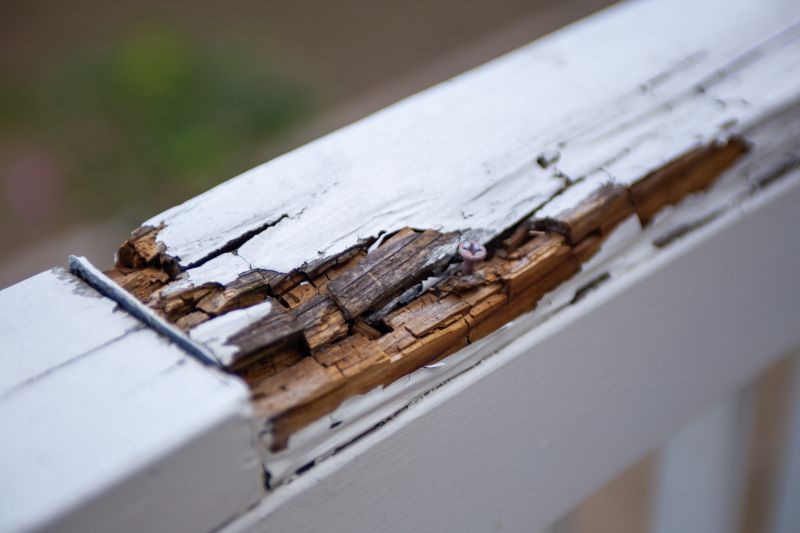 Decay Repair Service in Indianapolis, IN