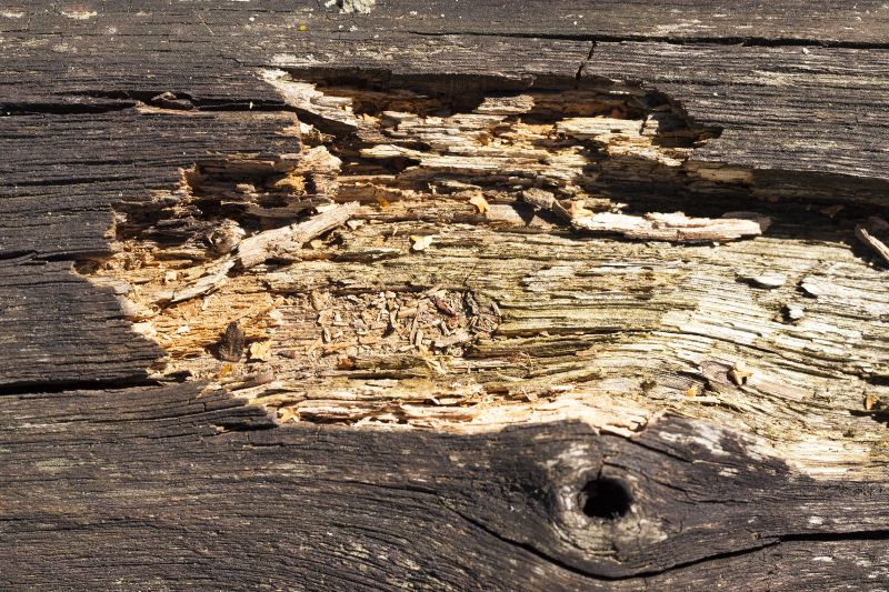 Decayed Wood Replacement in Olathe, KS
