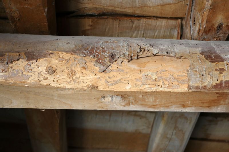 Decayed Wood Replacement in Arvada, CO