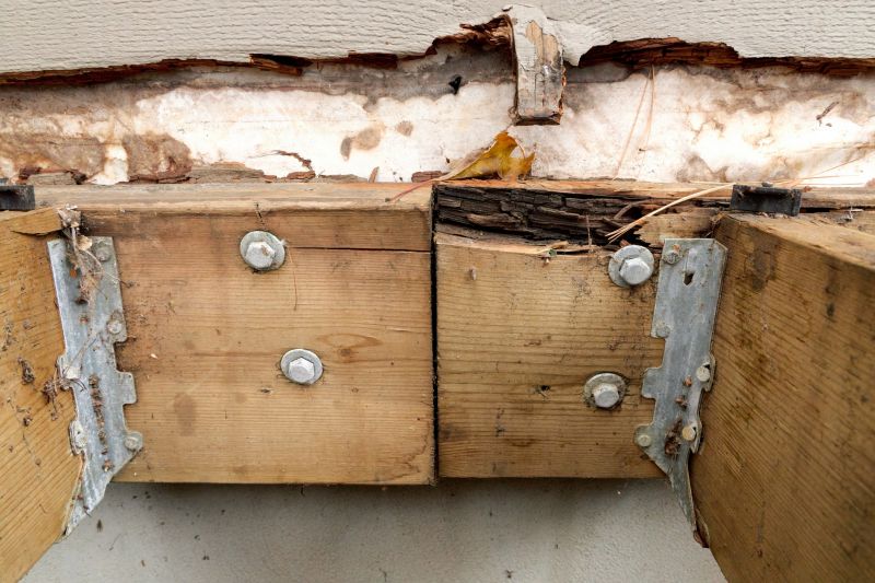 Dry Rot Repair in Roswell, GA