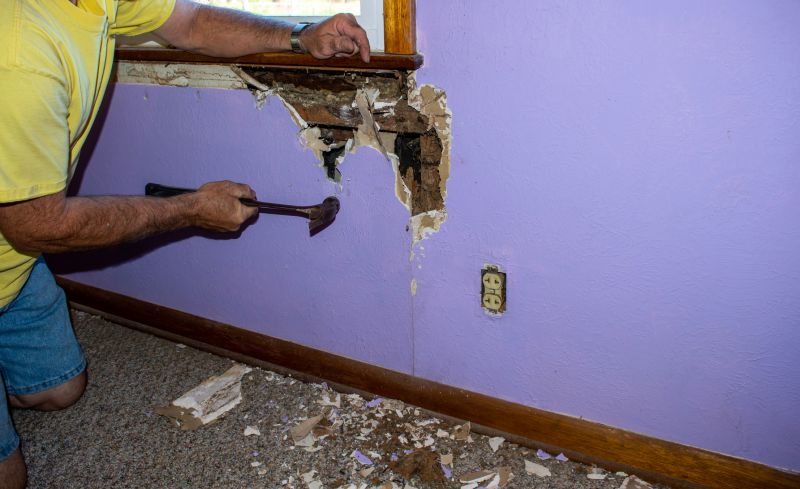 Pest Damage Repair in Kansas City, MO