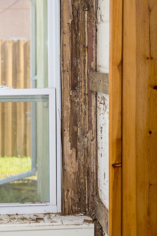 Pest Damage Repair in Kansas City, MO