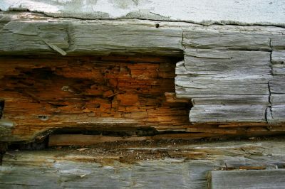 Rotten Wood Repair in Denver County, CO