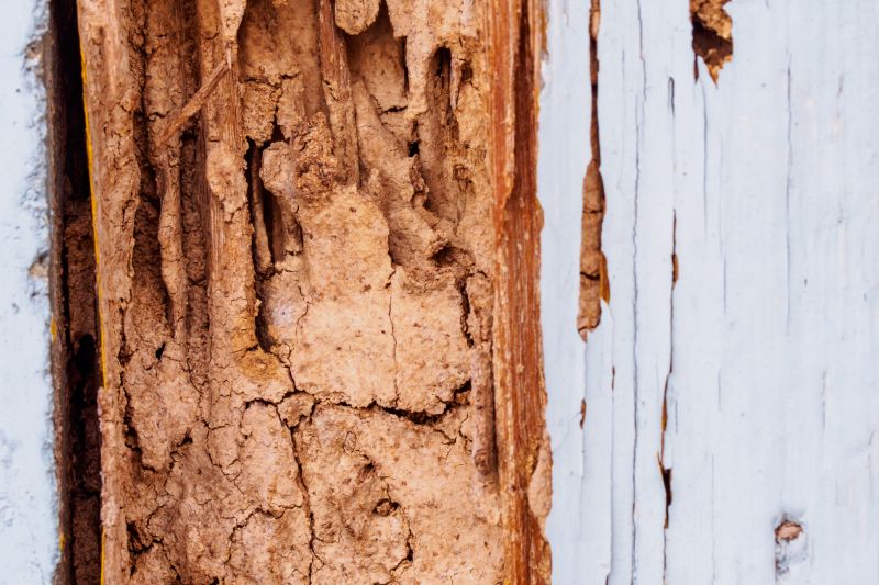 Rotten Wood Repair in Kansas City, KS