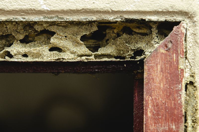 Structural Rot Repair in Longmont, CO