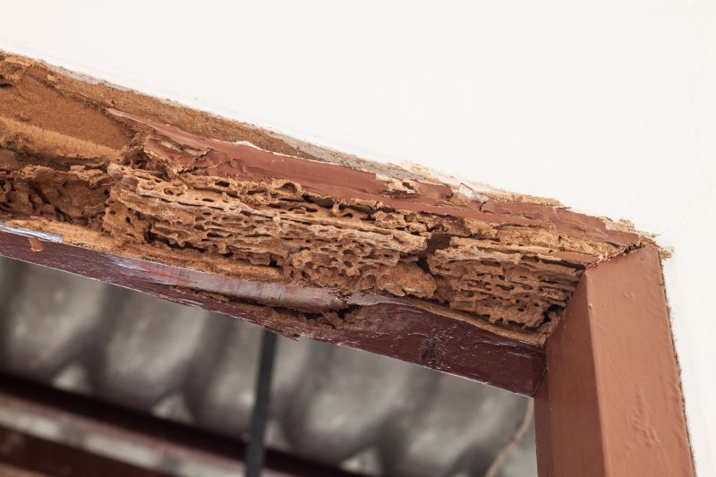 Structural Rot Repair in Indianapolis, IN