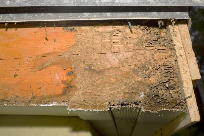 Structural Rot Repair in Indianapolis, IN