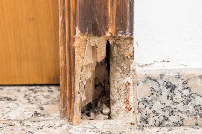 Termite Damage Restoration in Denver County, CO