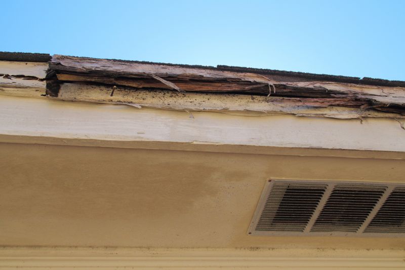 Termite Damage Restoration in Conroe, TX
