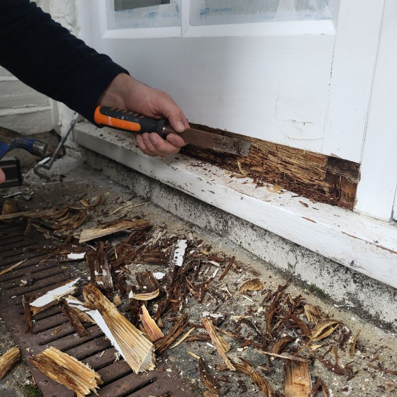 Window Rot Repair in Longmont, CO