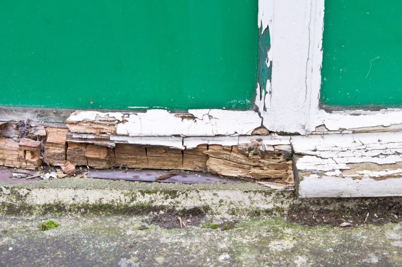 Window Rot Repair in Longmont, CO