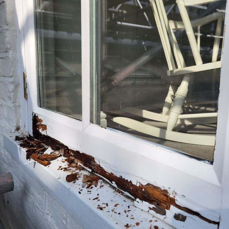 Window Rot Repair in Longmont, CO
