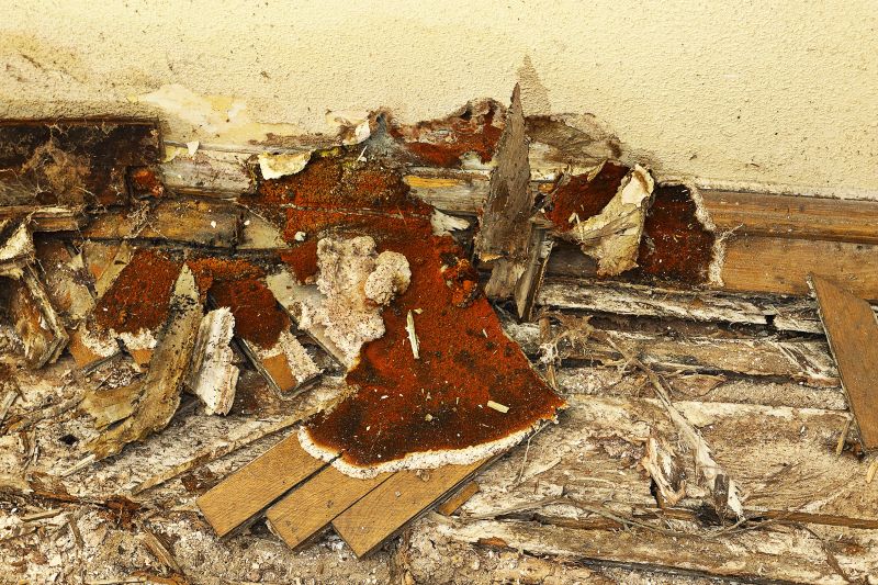Wood Decay Repair in Wilmington, NC