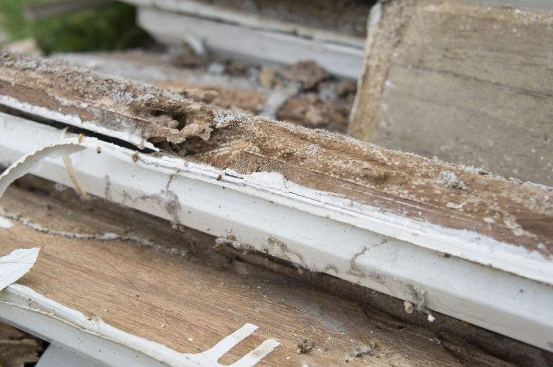Wood Decay Repair in Littleton, CO