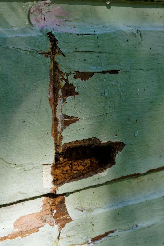 Wood Decay Repair in Denver, CO