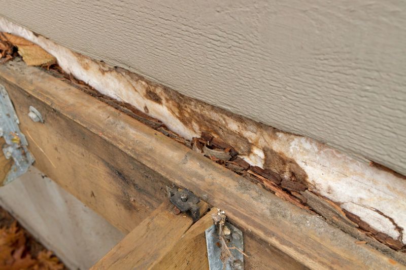 Wood Rot Removal in Kansas City, KS